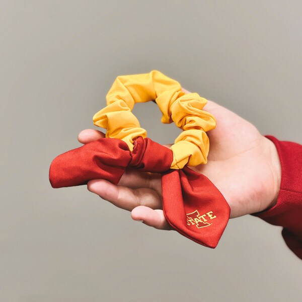 ZooZatz I-State Cardinal & Gold Color Block Knot Scrunchie